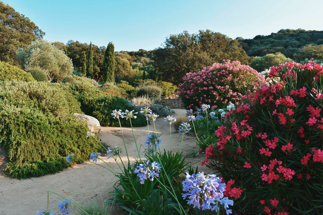 Parcs, Jardins et Espaces naturels - EXTERIEUR atelier de paysage